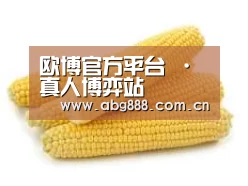 产品名称五