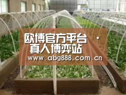 环境展示五