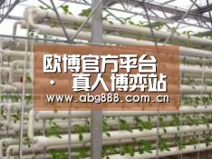 环境展示六