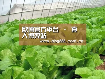 种植基地一