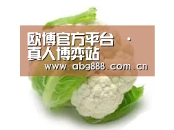 产品名称九