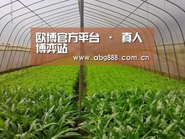 种植基地四