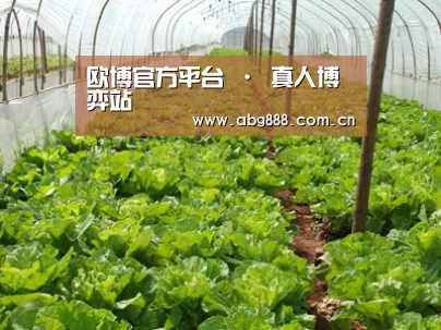 种植基地五