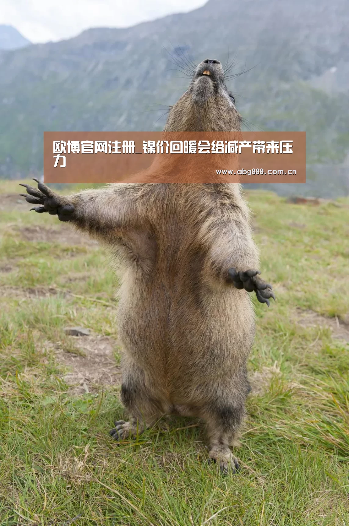 欧博官网