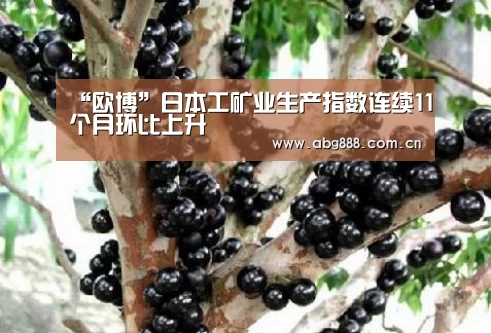欧博官网